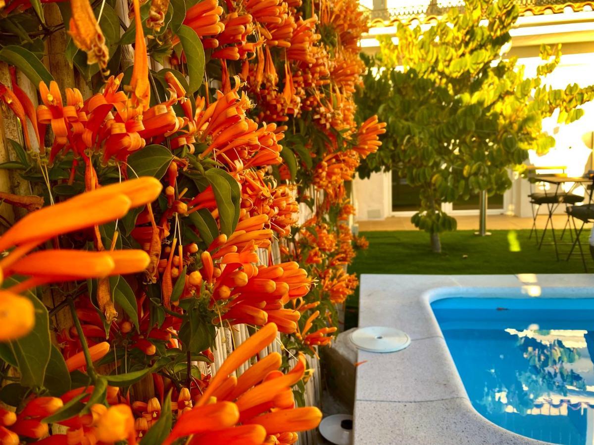 Suite Breeze - Private Heated Pool Malaga Exterior photo